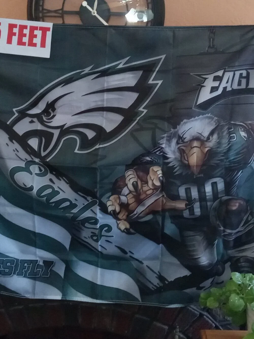 Philadelphia Eagles Stars & Stripes & Steroids NFL 3X5 Feet Flag Banner